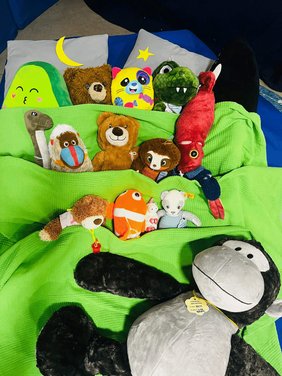 Kuscheltierübernachtung Dieses Foto zeigt einige Kuscheltiere
