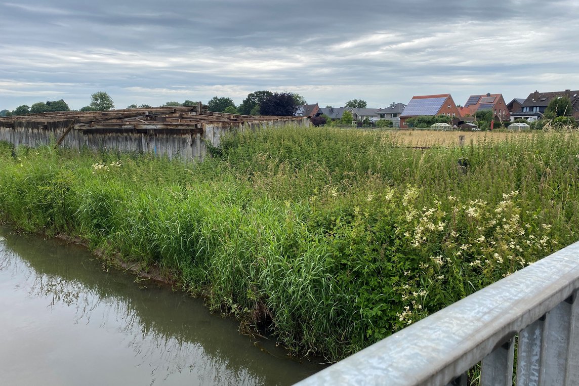 Auf der Grünfläche zwischen Kettbach, Wallgarten und "Am Sillerkamp" entsteht das neue Regenrückhaltebecken. Das Foto zeigt die Fläche.