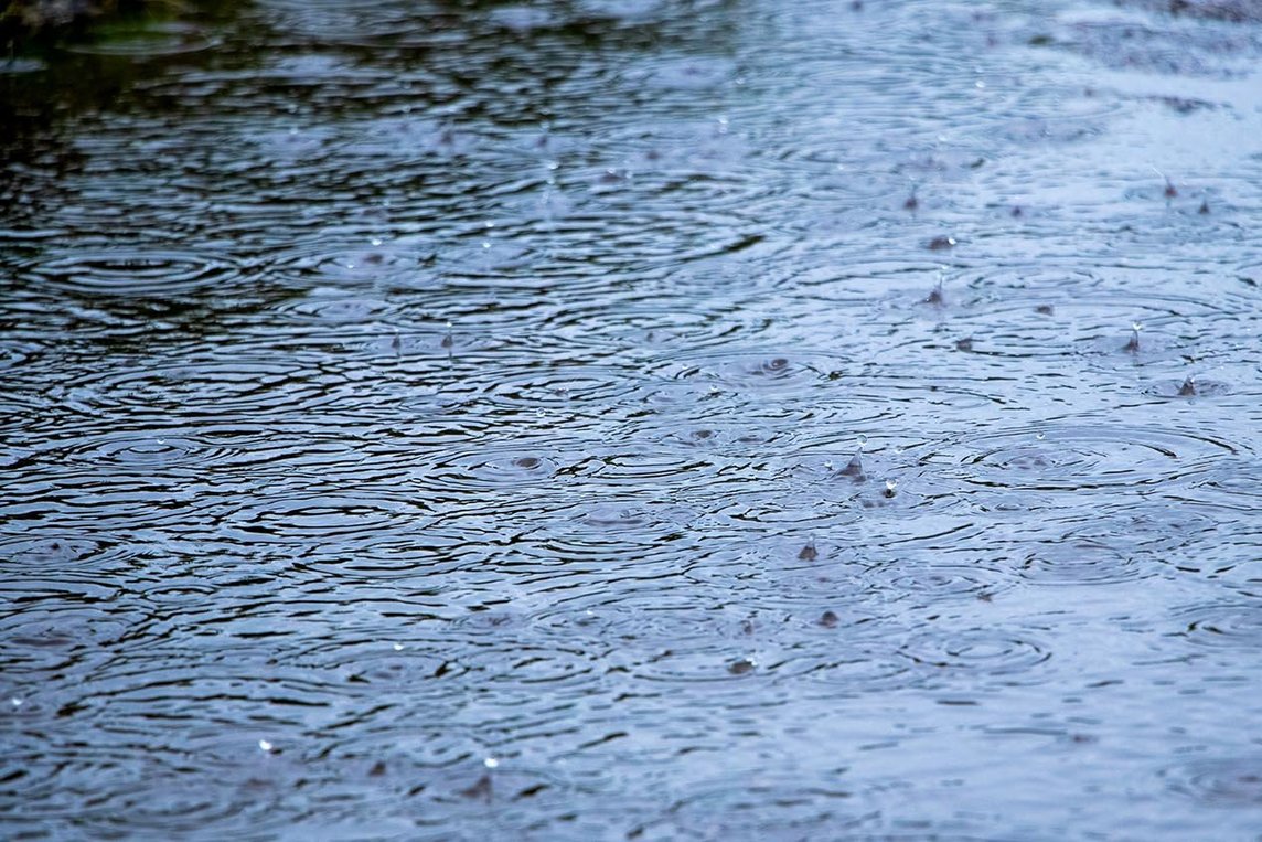 Dieses Foto zeigt Regenwasser