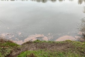 Möglicher Algenbefall des Bulderner Sees Dieses Foto zeigt einen möglichen Algenbefall des Bulderner Sees