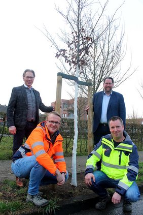 Neu gepflanzter Baum am Dalweg Dieses Foto zeigt den neu gepflanzten Baum am Dalweg