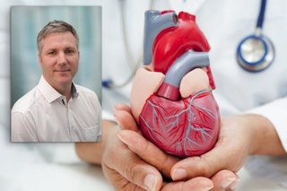 Cardiovascular,Disease,Cvd,,Doctor,With,Heart,Human,Model,Anatomy,For
