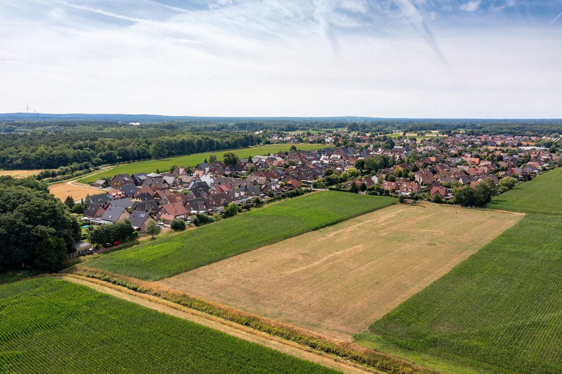 Das Foto zeigt eine Luftaufnahme der Fläche.